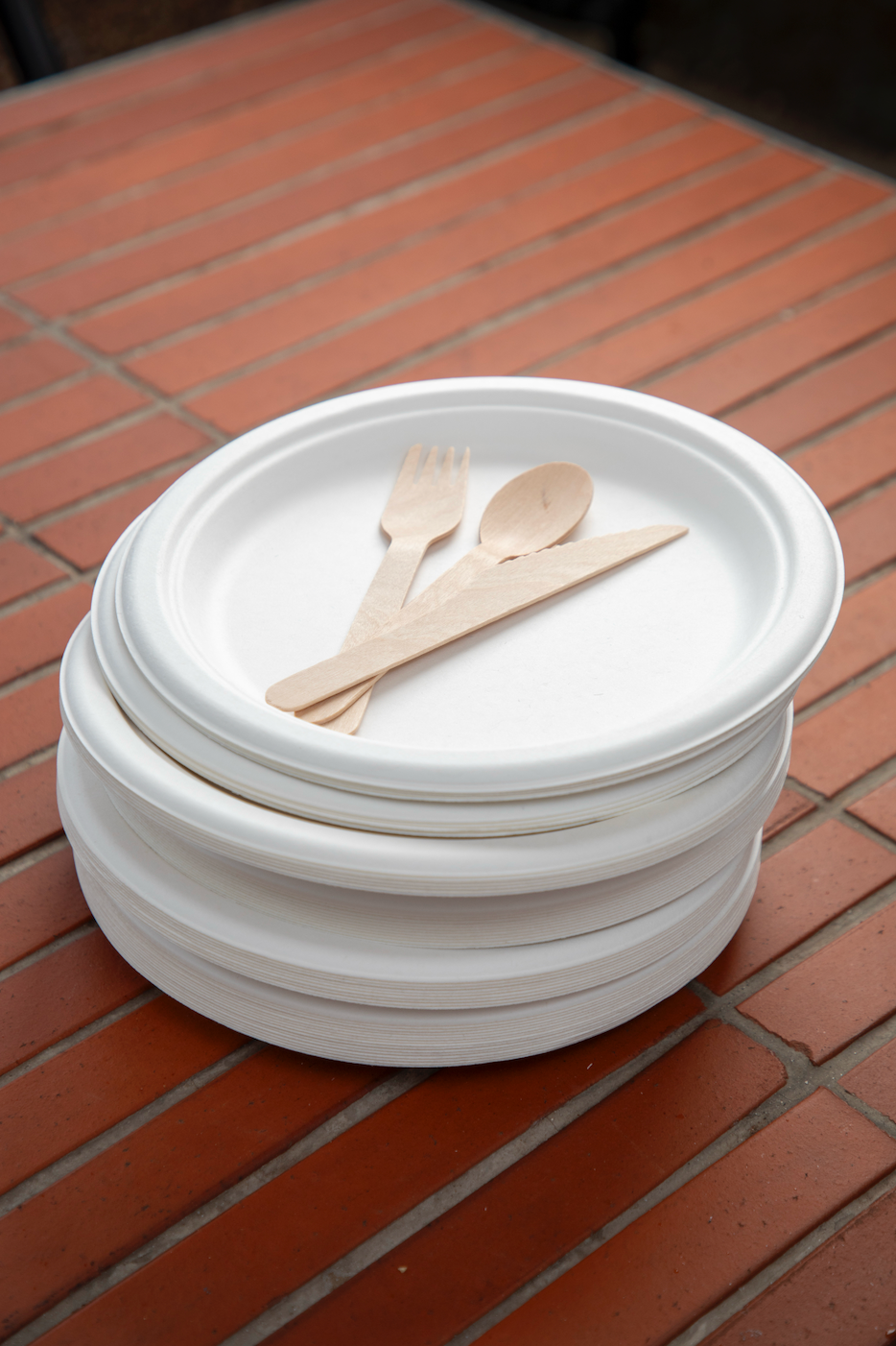 DISPOSABLE CUTLERY