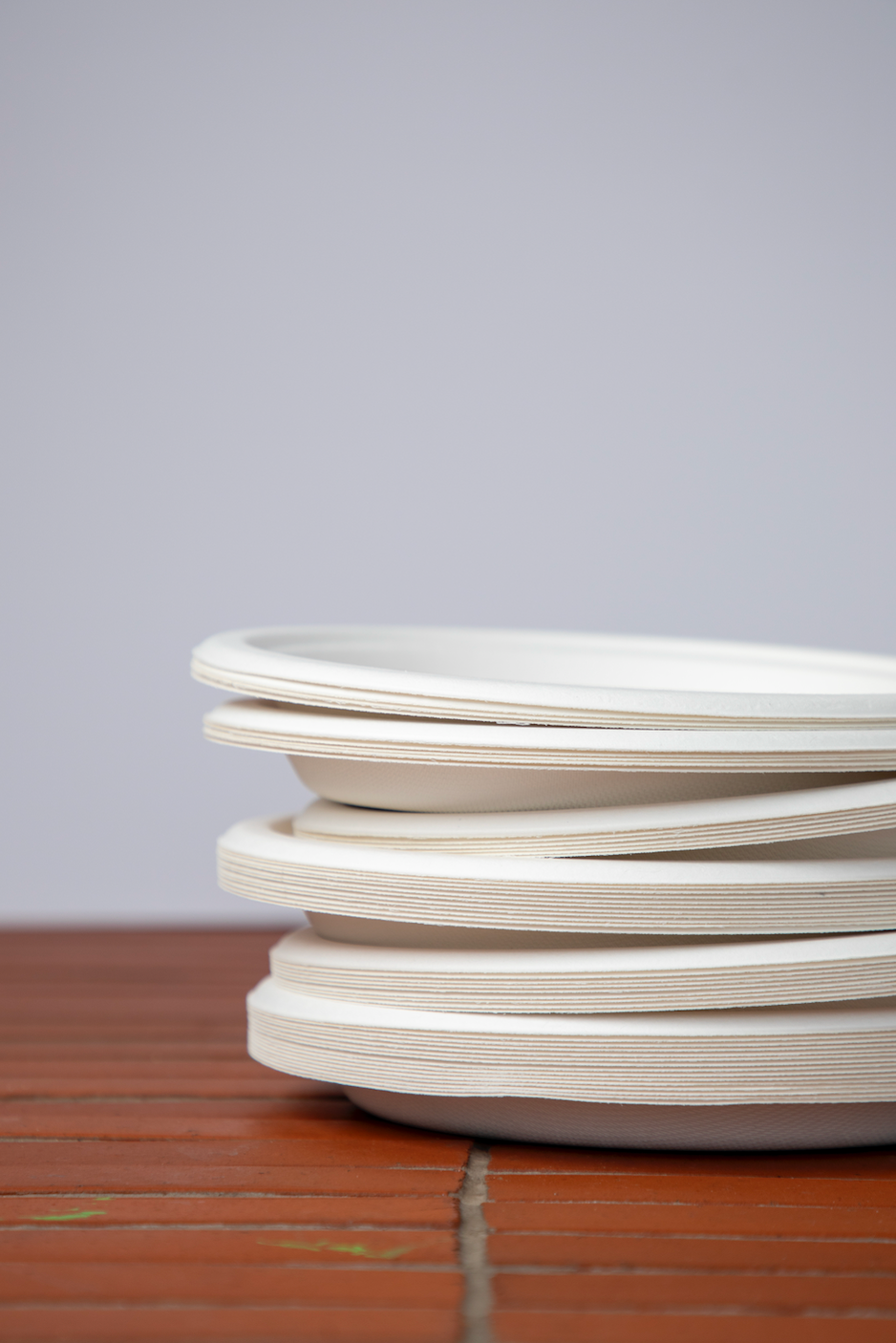 DISPOSABLE PLATES