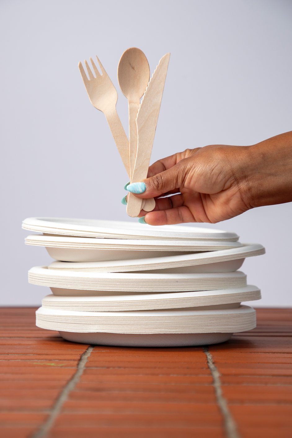 DISPOSABLE PLATES